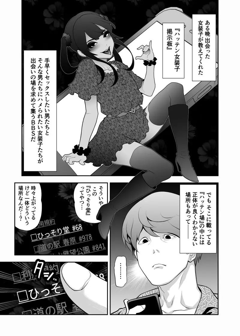 女装子ハッテン系 ≪ ひっそり堂 篇 ≫ サンプル画像 1枚目