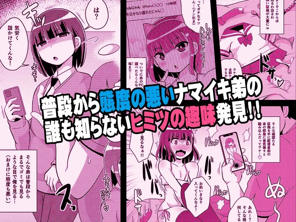 ナマイキ弟の精嚢をこねくり回してメス♂にする本 サンプル画像 1枚目