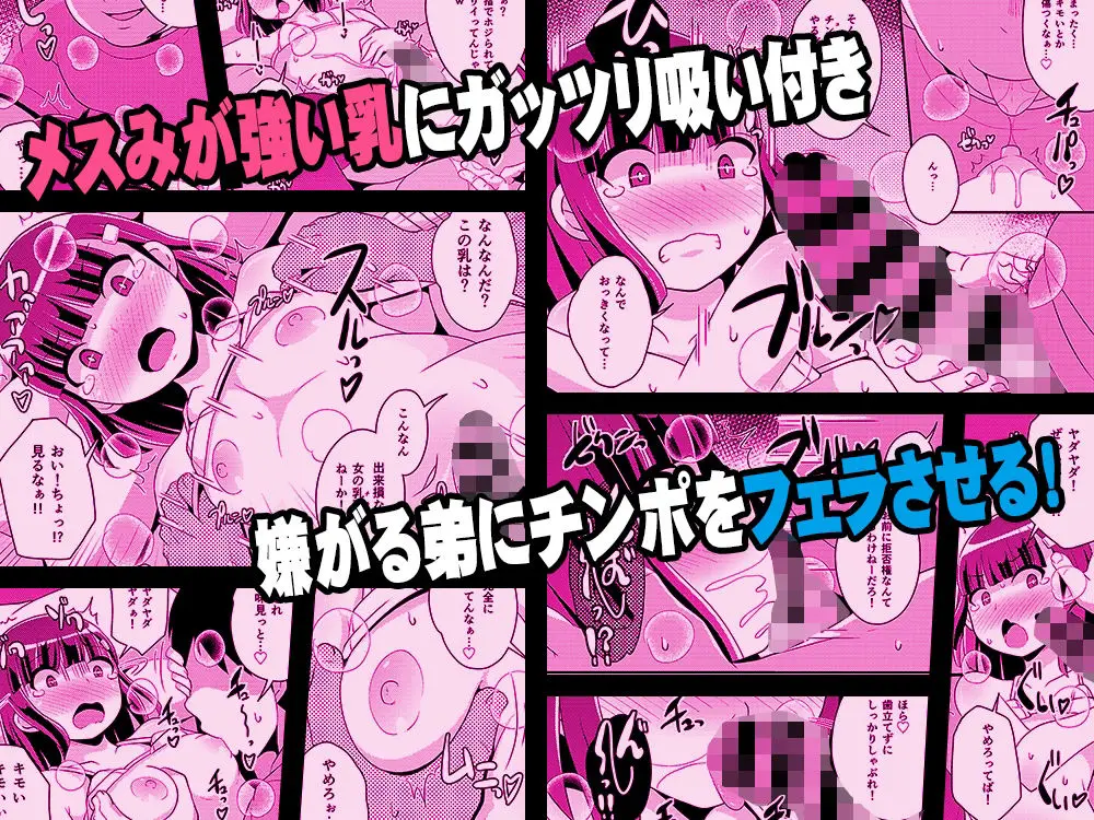 ナマイキ弟の精嚢をこねくり回してメス♂にする本 サンプル画像 3枚目