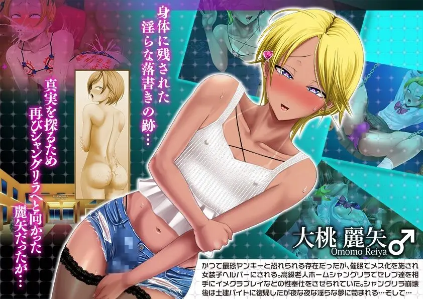 ヤンキー女装子ヘルパーVol.4 〜勃起妻 桃尻受精伝説〜 サンプル画像 1枚目