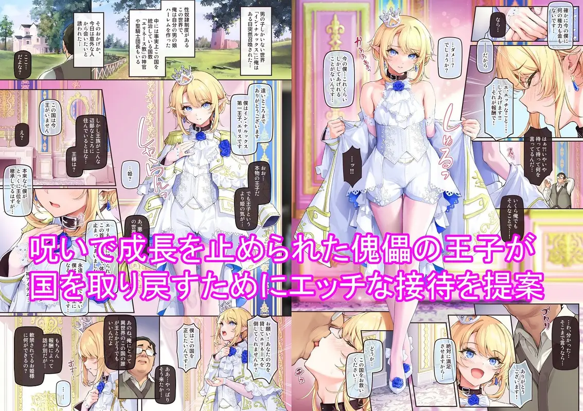 異世界オトコノコ王子従順隷奴〜呪いで成長が止まった王子を弄びメス堕ちさせる〜 サンプル画像 1枚目