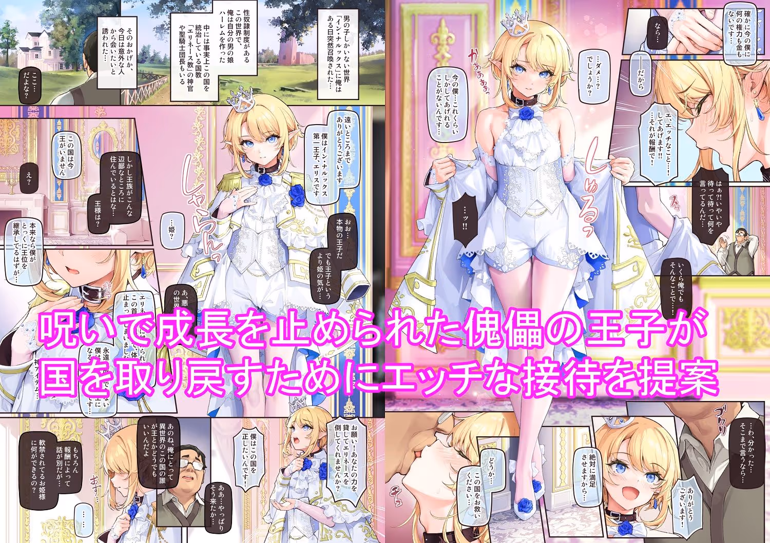 異世界オトコノコ王子従順隷奴〜呪いで成長が止まった王子を弄びメス堕ちさせる〜 サンプル画像 1枚目