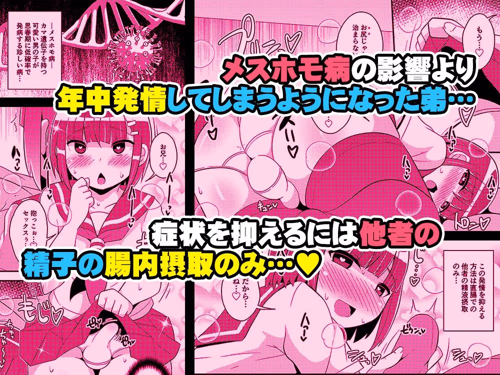発情弟(オカマ)の性処理係 サンプル画像 1枚目
