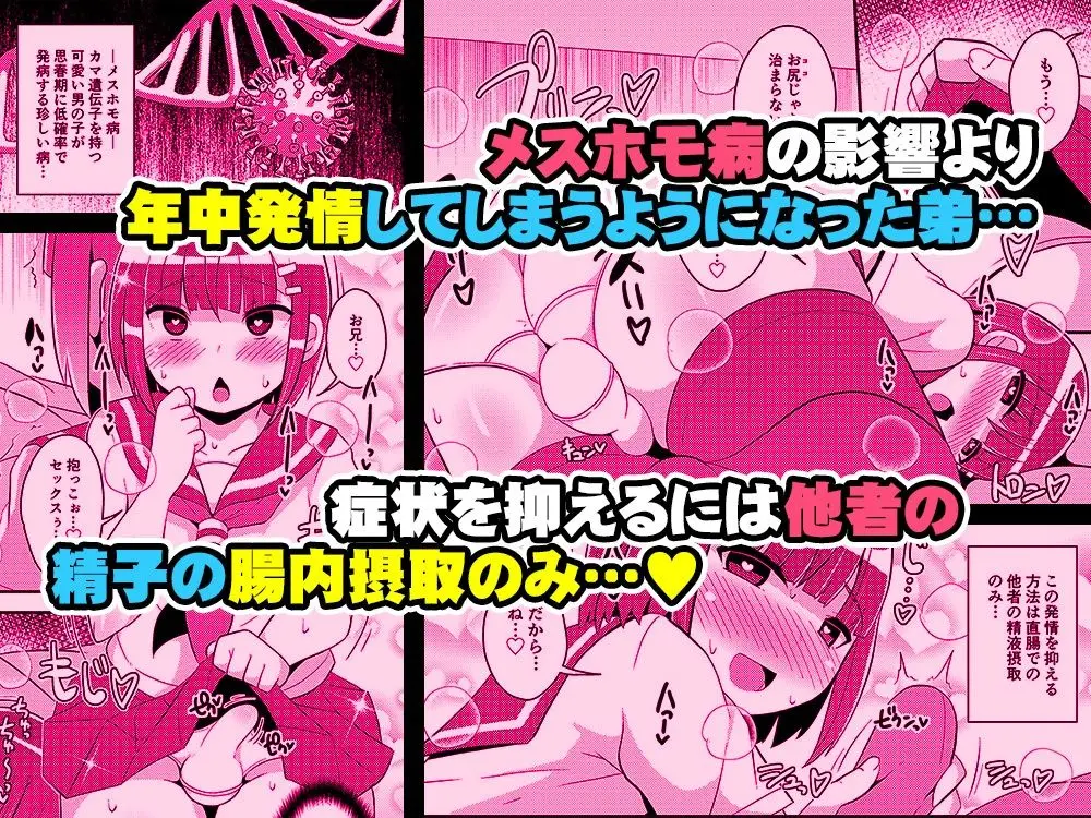 発情弟（オカマ）の性処理係 サンプル画像 1枚目