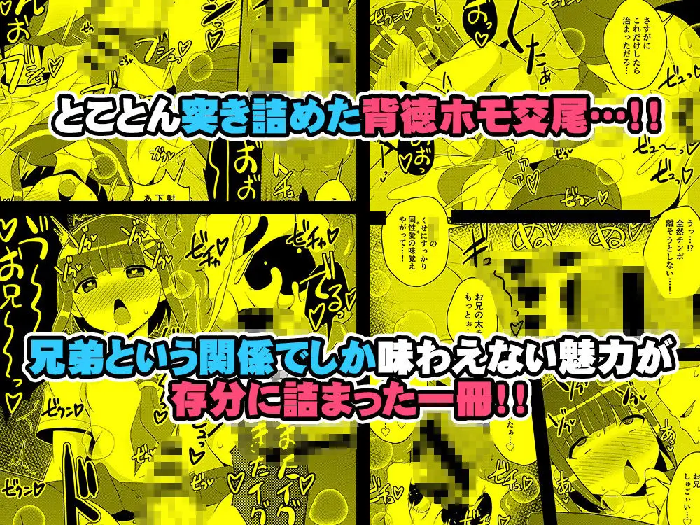 発情弟（オカマ）の性処理係 サンプル画像 6枚目