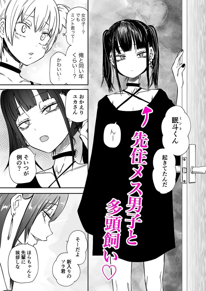 多頭飼い サンプル画像 3枚目