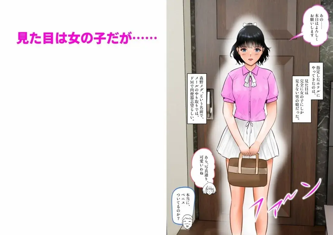 変態夫婦、両性具有の可愛い男の娘と調教3P 上巻 サンプル画像 2枚目