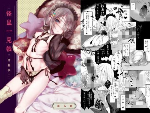 怪鼠一見帳・白昼夢 [111当番][d_118858][パッケージ画像]