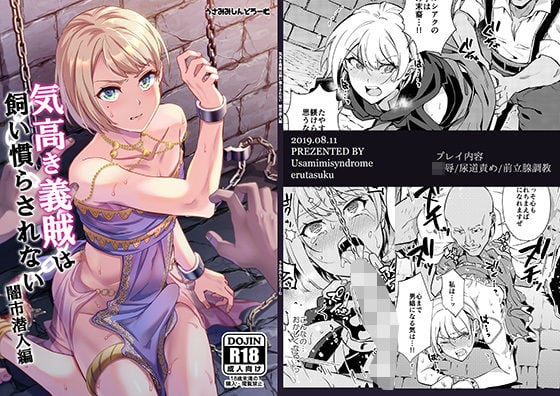 気高き義賊は飼い慣らされない 闇市潜入編 [うさみみしんどろーむ][d_159406][パッケージ画像]