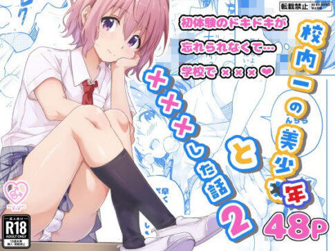 校内一の美少年と×××した話2 [StudioHALTO][d_593667][パッケージ画像]