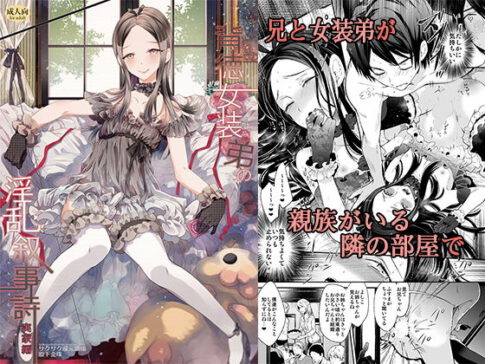 背徳女装弟の淫乱叙事詩-実家編- [サクサク還元濃縮][d_133100][パッケージ画像]