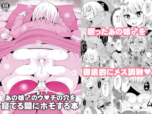 あの娘♂のウ○チの穴を寝てる間にホモする本 [CHINZURI BOP][d_140135][パッケージ画像]