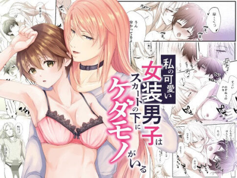 私の可愛い女装男子はスカートの下にケダモノがいる [ただいま腐敗中][d_253095][パッケージ画像]