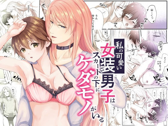私の可愛い女装男子はスカートの下にケダモノがいる [ただいま腐敗中][d_253095][パッケージ画像]