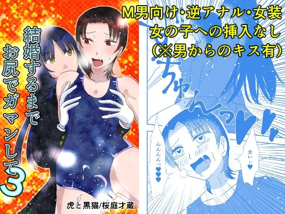 結婚するまでお尻でガマンして3 [虎と黒猫][d_625498][パッケージ画像]