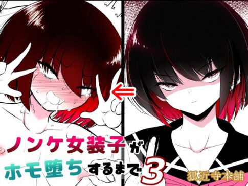 ノンケ女装子がホモ堕ちするまで3 [狐近寺本舗][d_555219][パッケージ画像]