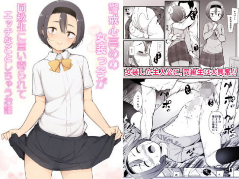 警戒心高めの女装っ子が同級生に言い寄られてエッチなことしちゃうお話 [パッケージ][ゆるやか島][d_180536]