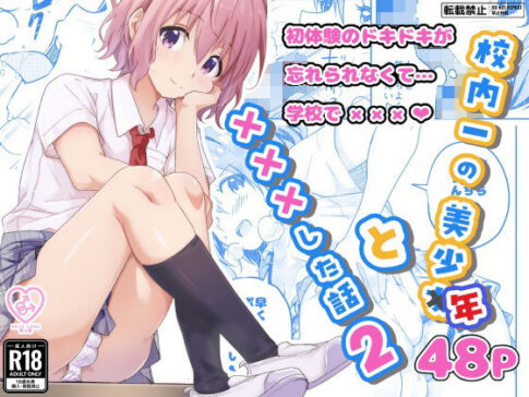 校内一の美少年と×××した話2 [パッケージ][StudioHALTO][d_593667]