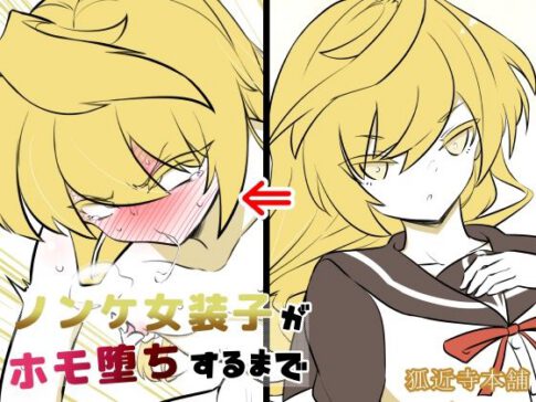 ノンケ女装子がホモ堕ちするまで4 [パッケージ][狐近寺本舗][d_635436]